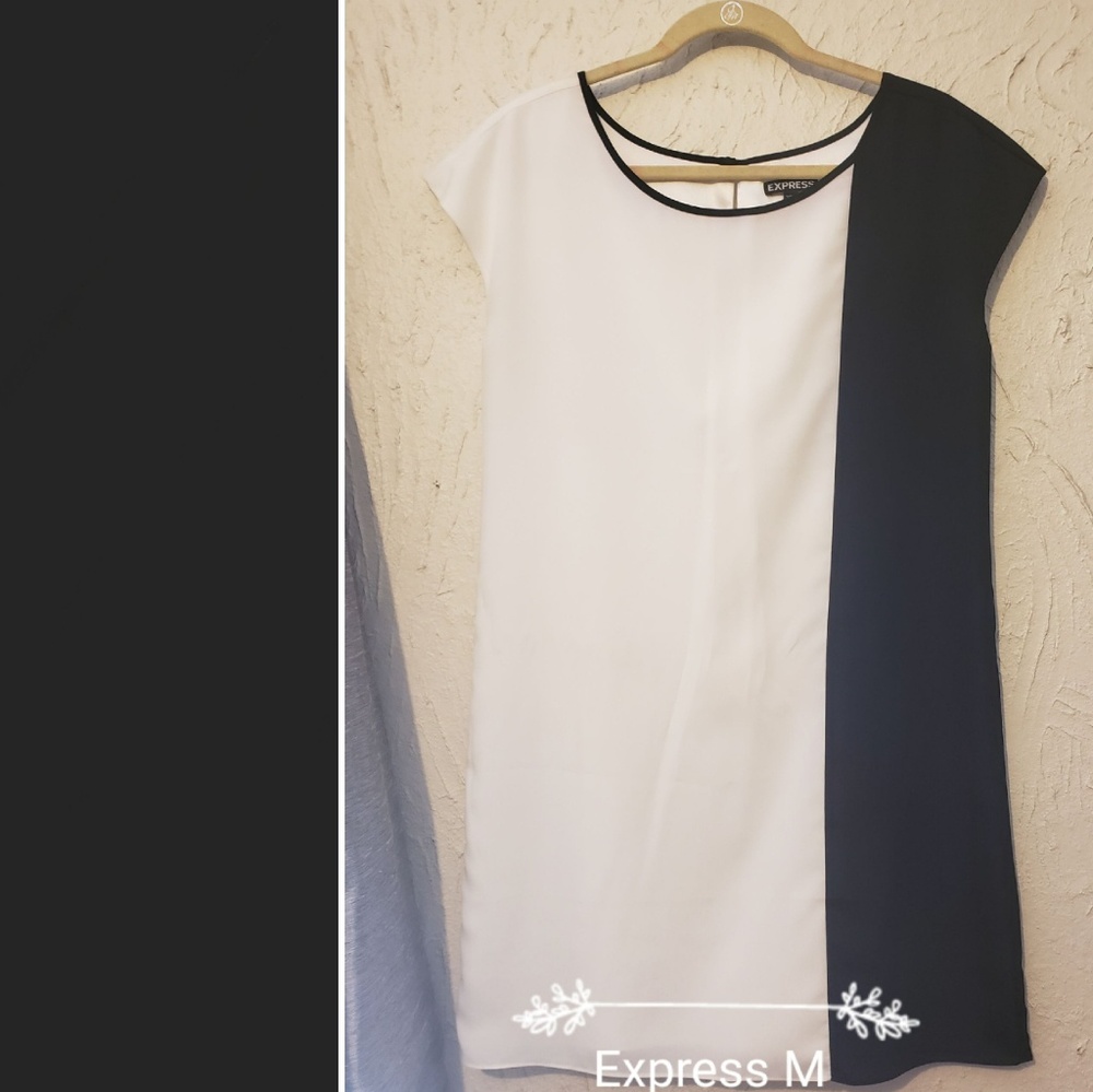 Express Block Dress